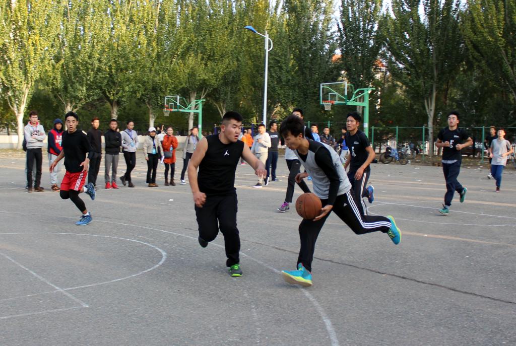 精彩瞬间 动科院 摄