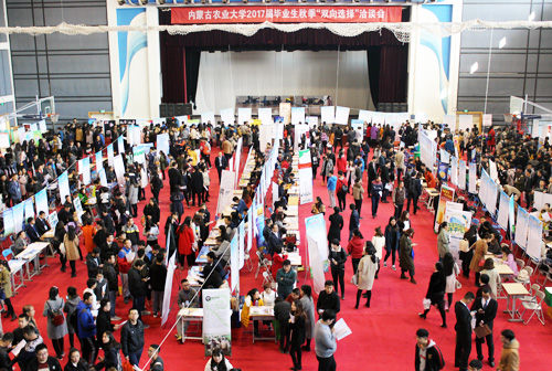 洽谈会现场 动科院 摄