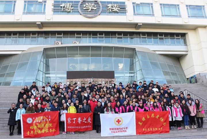 动科院记者 兰海娇 郭蒙霞 摄