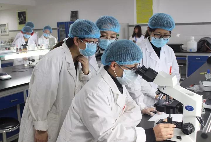 比赛现场 动科院记者 郭蒙霞 摄